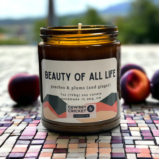 Beauty of All Life Soy Candles and Melts - Peaches, Plums, & Ginger - Magicians Inspired