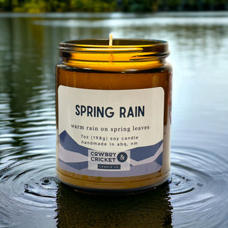 Spring Rain Soy Candles and Melts - Warm Rain on Spring Leaves